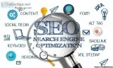 SEO service in Delhi