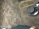 Carpet Cleaning
