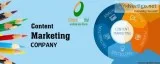 Content Marketing Company Technical India Hub