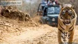 jim corbett park