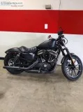 2019 Harley Davidson Iron 883