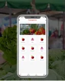 BigBasket Clone App