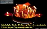YummyCake - Great Platform for Cake and Flower Delivery in Noida