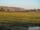 High Yield Farm Ground On The River