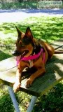 Need to rehome my Tatiana.