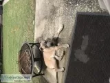 Need a good home
