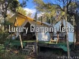 Experience Luxury Glamping Tents with Modern Conveniences