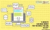 Best Web Development Company in Delhi NCR