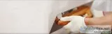 Professional Plastering Services in Northallerton