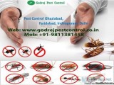 Termite Treatment Gurgaon Dial 91-9811381458