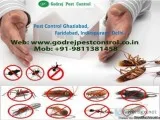 Termite Treatment Gurgaon Dial 91-9811381458