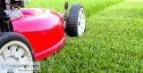 Lawncare and More