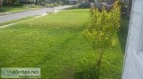 Silky Suds Cleaning And Lawn Care Service