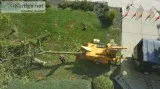 TREE REMOVAL SERVICE ( 416 834-6426 )