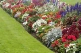 BandK lawn care