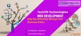 Web development services velachery