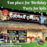 Fun Place for Birthday Party for Kids - The Safari Nation