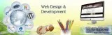 Best IT Company in Mohali
