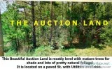 Real Estate Auction River Resort Property Boat Ramp Access