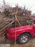Hauling and Removal Services