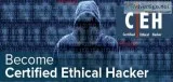 Certified Ethical Hacking Training