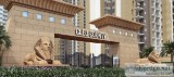 Get a royal life in Cleo County Noida Call 9711836846