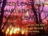 LEAF CLEAN UPS