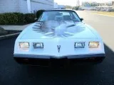 1980 Pontiac Firebird Turbo Trans Am