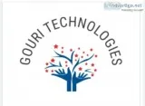 Software Associate US Based