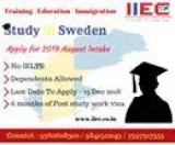 Study In Sweden