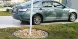2010 Camry Hybrid
