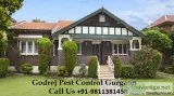 Get Pest control Gurgaon  91-9811381458