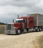 2018 Peterbilt 389 Semi Tractor