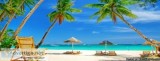 GOA Tour Packages (5Days4Nights)