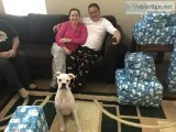 8 month old male boxer