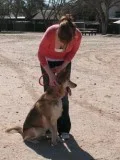 Cognitive Dog Training