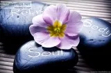 Come and Visit US for a Great Massage
