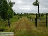 Texas Recreational and Hunting Land Auction