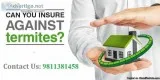 Get Termite treatment Gurgaon Dial 91-9811381458