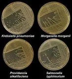 Nutrient Agar Himedia