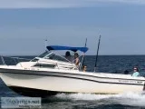 Grady White Offshore 24
