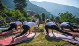 Best Vinyasa Yoga Teacher Training India