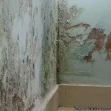 V S Enterprises - Dampness Waterproofing Contractor