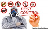Professional Pest Control Company in Manchester