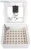 Little Giant Deluxe Incubator with Egg Turner