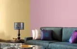VS Enterprises -Home Wall Painting