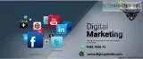DigicopsIndia digital marketing company in ahmedabad