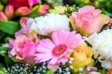 Online Florist In Gurgaon   (91) - 9582-1481-41
