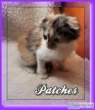 Patches Female Scottish Kilt