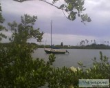 Need outboard motor for my sailboat